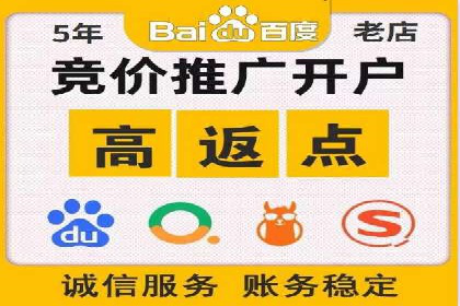 百度广告投放策略与效果评估案例